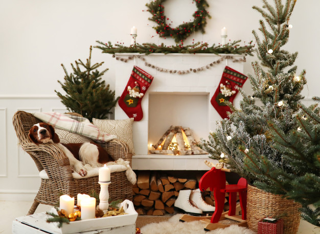 cute-little-dog-christmas-decorated-living-room_144627-23423